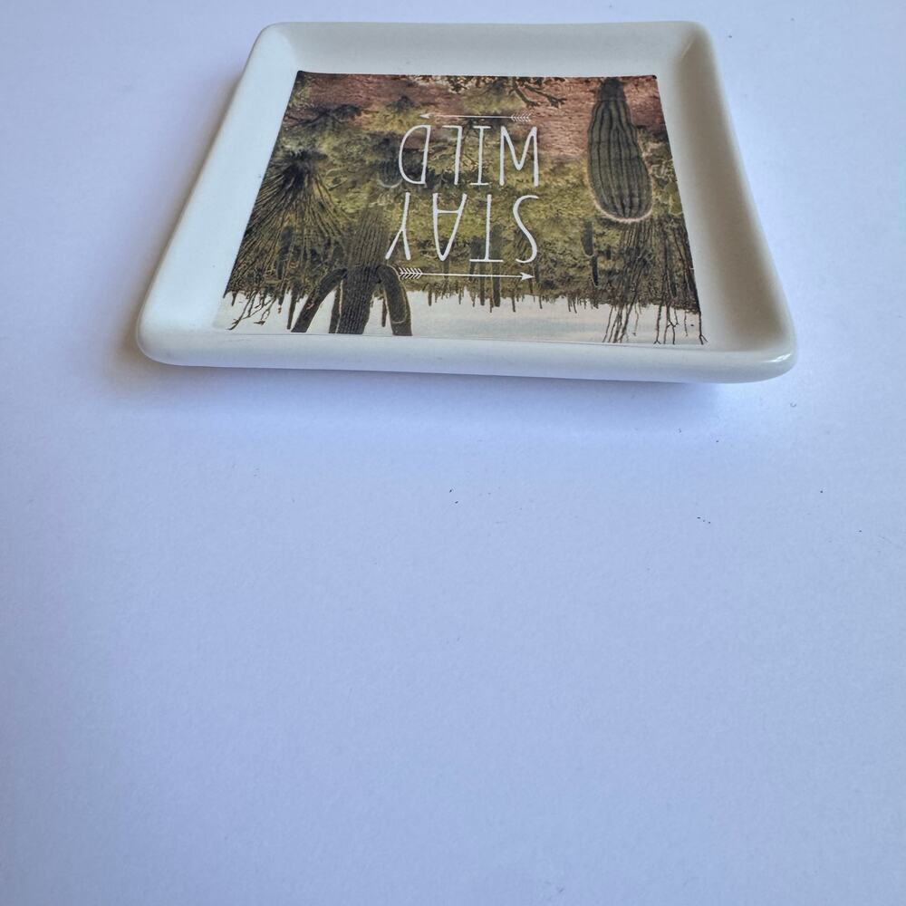 Primitives‎ by Kathy Small Trinket Tray Stay Wild Cactus White Square Boho Gift - Picture 5 of 10
